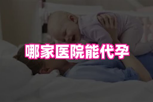 海口助孕网站 2