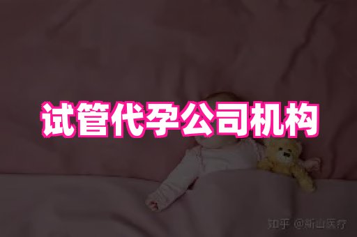 海口助孕网站 4